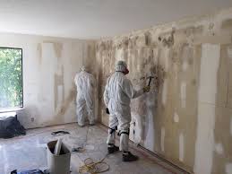 Lafayette, CA Mold Remediation Company